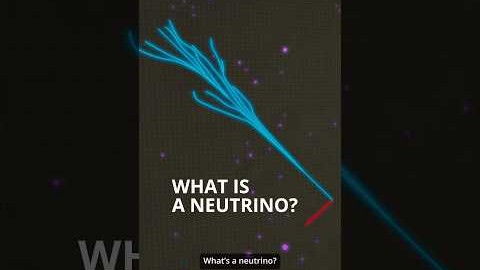What is a neutrino? #shorts